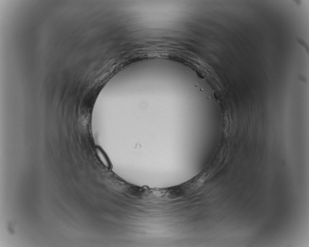 X0000101680329200807101150