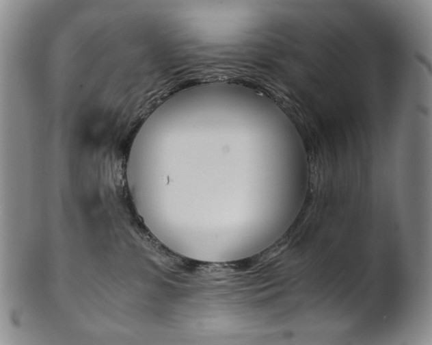 X0000101680331200807101150
