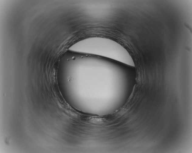 X0000101680332200807101150