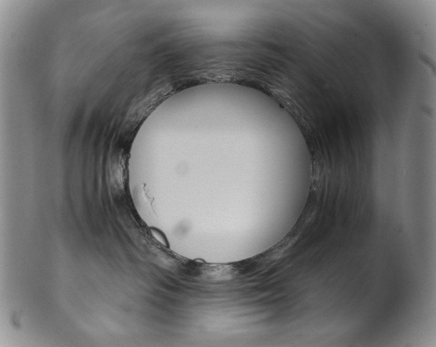 X0000101680334200807101150