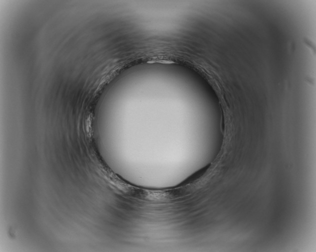 X0000101680336200807101150
