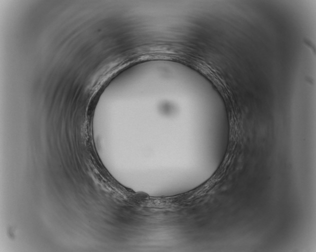 X0000101680338200807101150