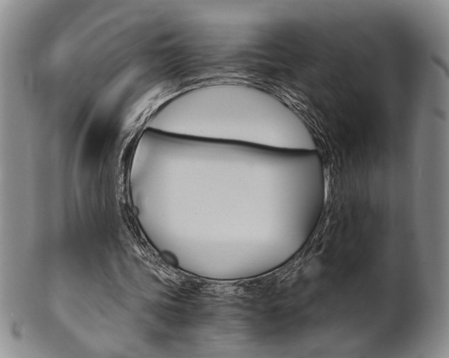 X0000101680339200807101150