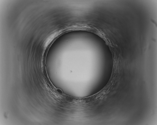 X0000101680340200807101150