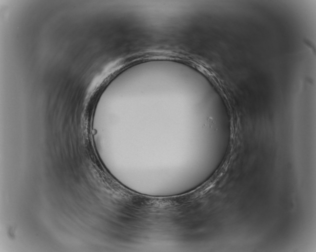 X0000101680343200807101150