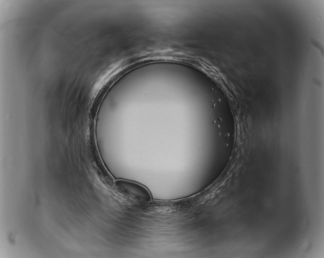 X0000101680344200807101150