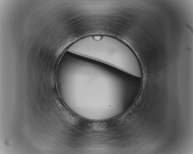 X0000101680345200807101150