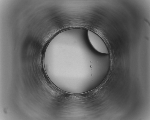 X0000101680346200807101150