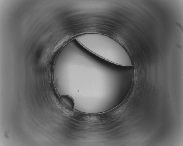 X0000101680349200807101150