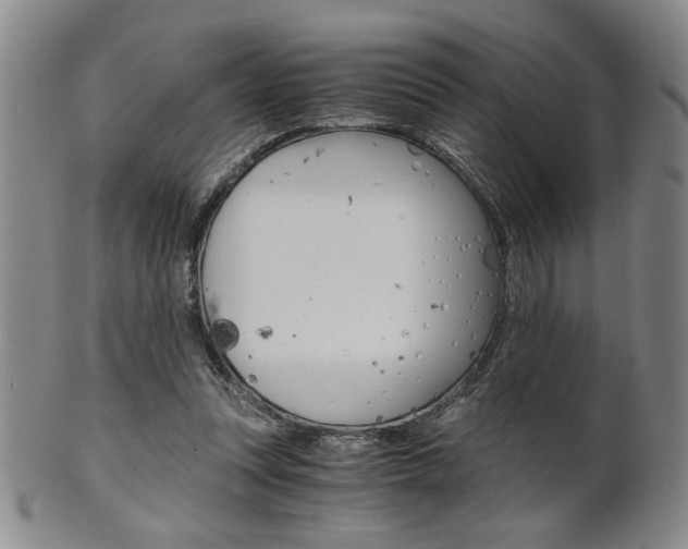 X0000101680351200807101150