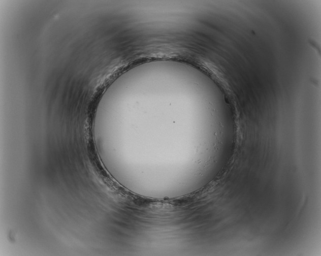 X0000101680354200807101150