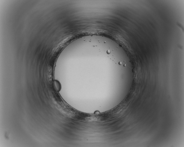 X0000101680356200807101150
