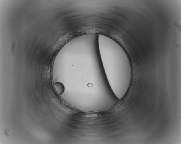 X0000101680357200807101150