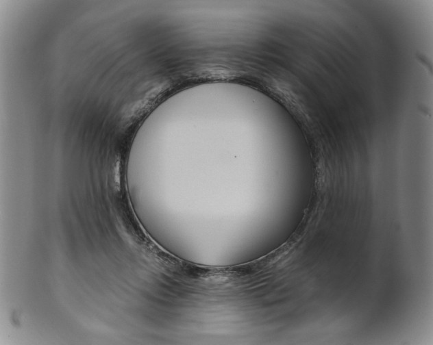 X0000101680358200807101150