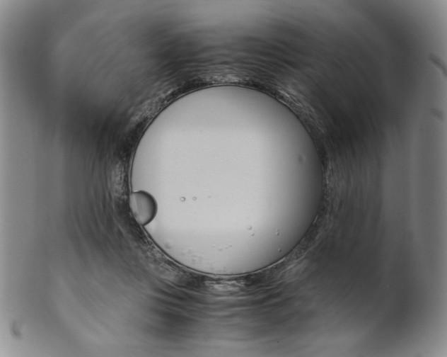 X0000101680359200807101150