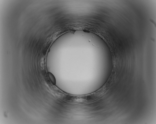 X0000101680360200807101150