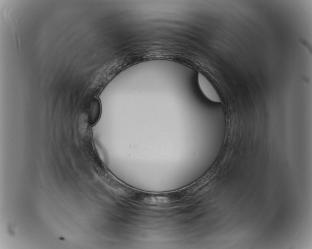 X0000101680361200807101150