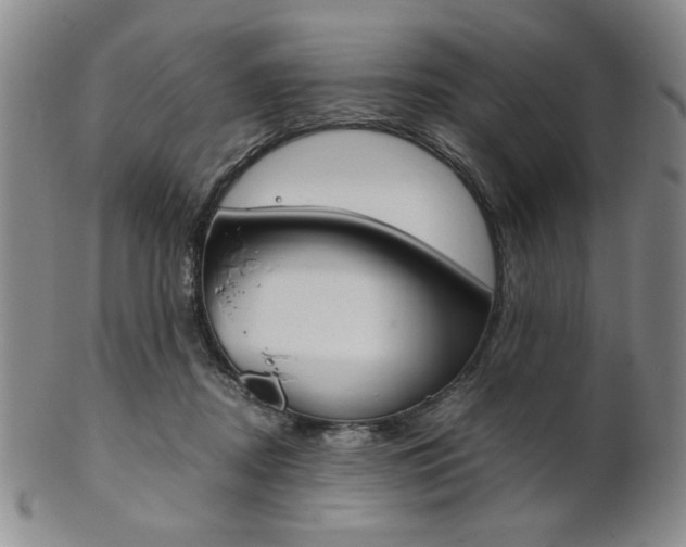 X0000101680362200807101150