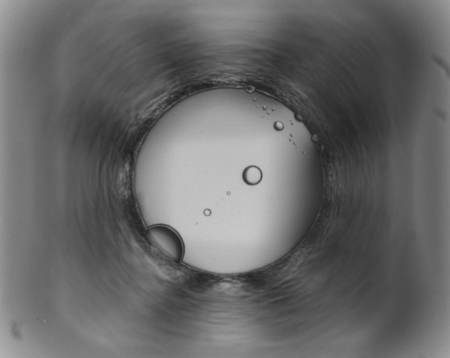 X0000101680364200807101150