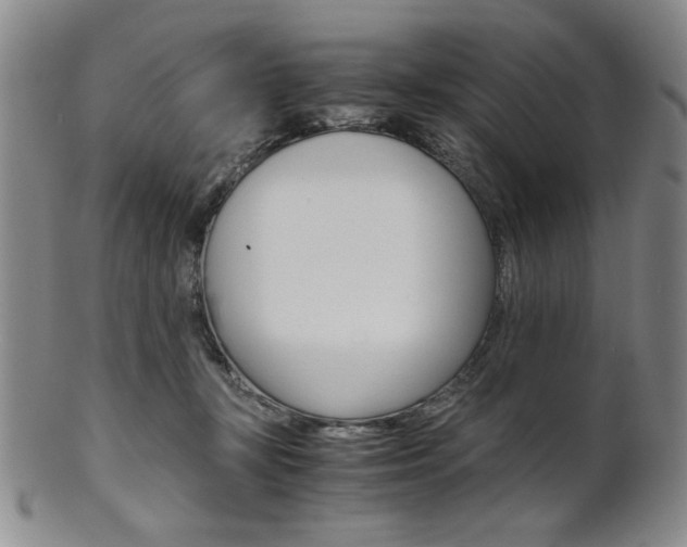 X0000101680367200807101150