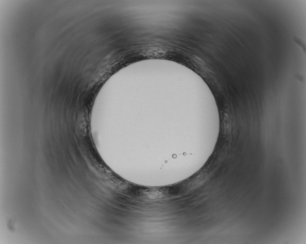 X0000101680370200807101150