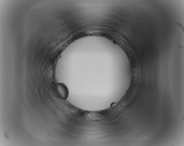 X0000101680372200807101150