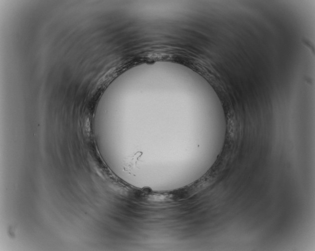 X0000101680375200807101150