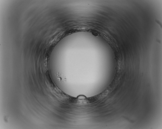 X0000101680376200807101150