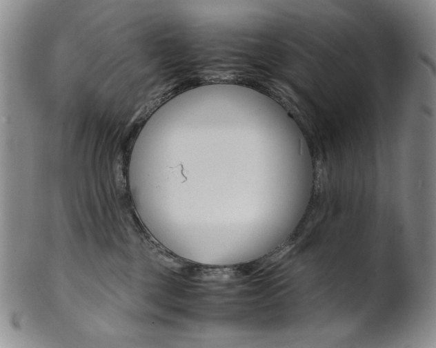 X0000101680377200807101150