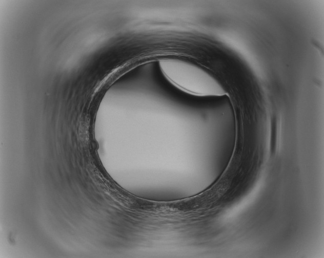 X0000101680387200807101149