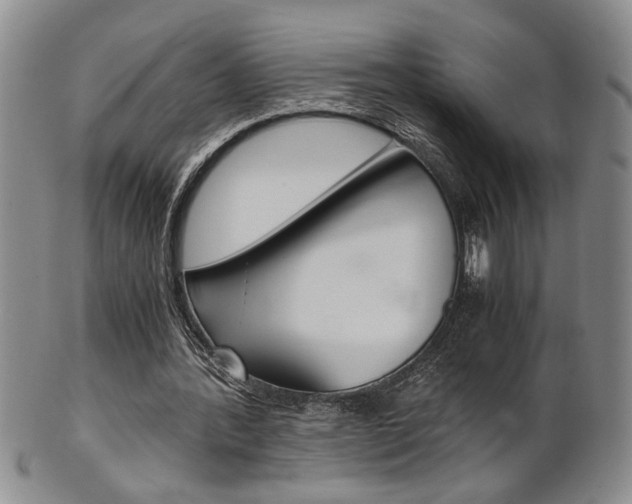 X0000101680388200807101149