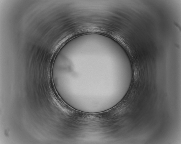 X0000101680390200807101149
