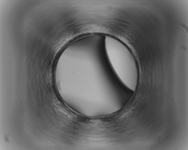 X0000101680391200807101149