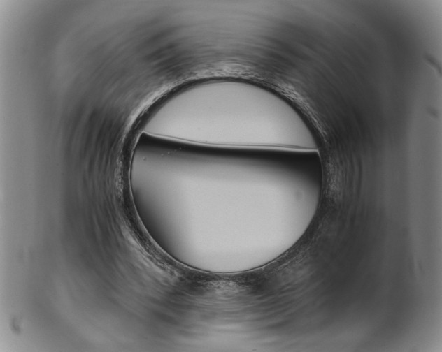 X0000101680392200807101149