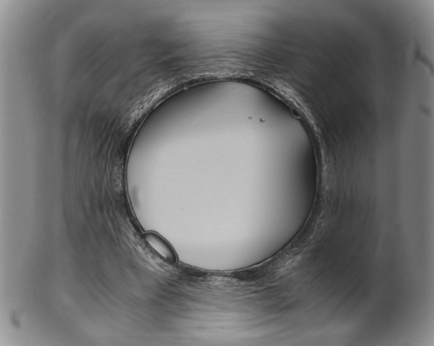 X0000101680393200807101149