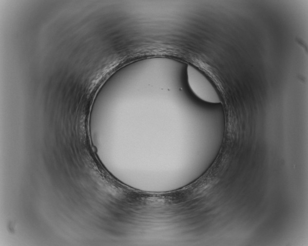 X0000101680394200807101149