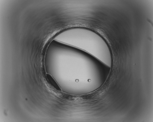 X0000101680395200807101149