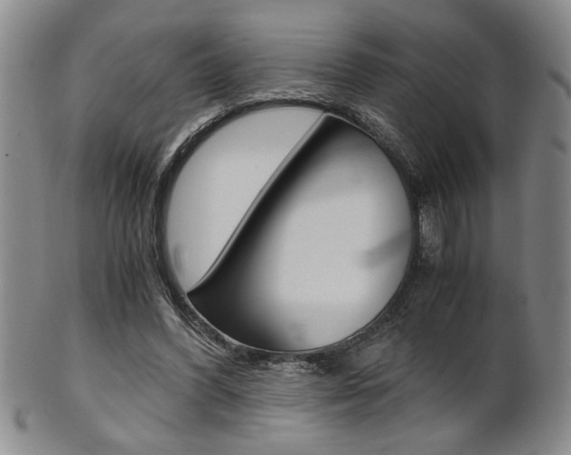 X0000101680396200807101149