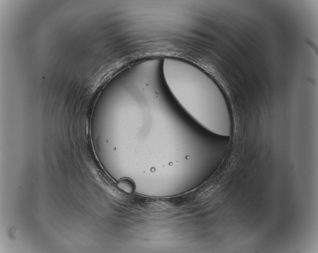 X0000101680397200807101149