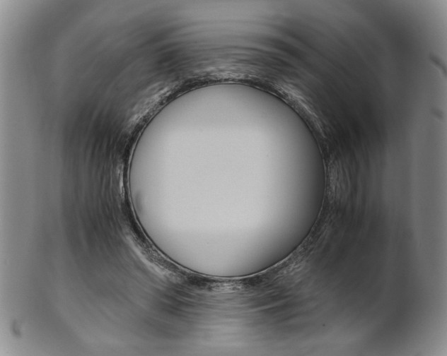X0000101680398200807101149