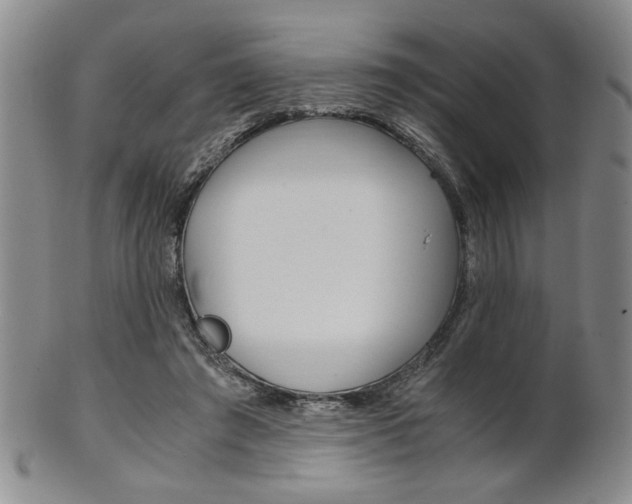 X0000101680401200807101149