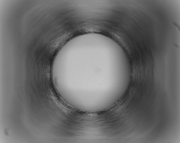 X0000101680402200807101149