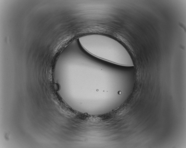 X0000101680403200807101149