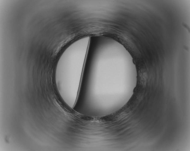 X0000101680404200807101149