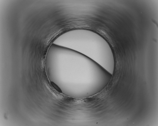 X0000101680405200807101149