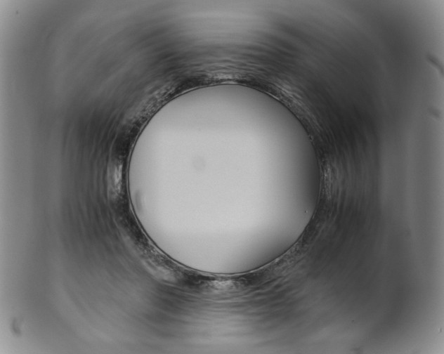 X0000101680406200807101149