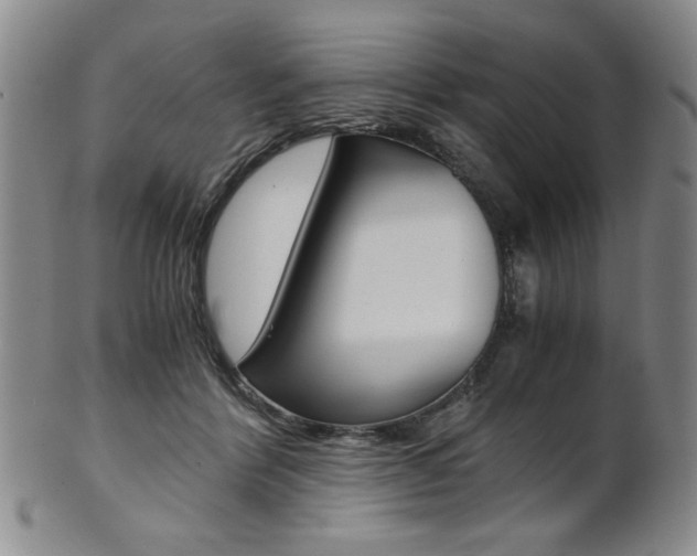 X0000101680412200807101149