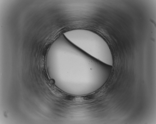 X0000101680413200807101149