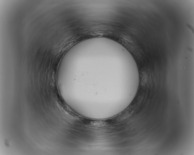 X0000101680414200807101149