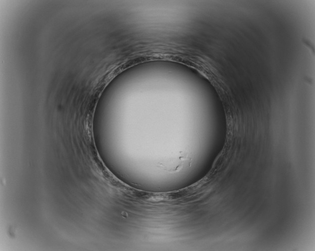 X0000101680415200807101149